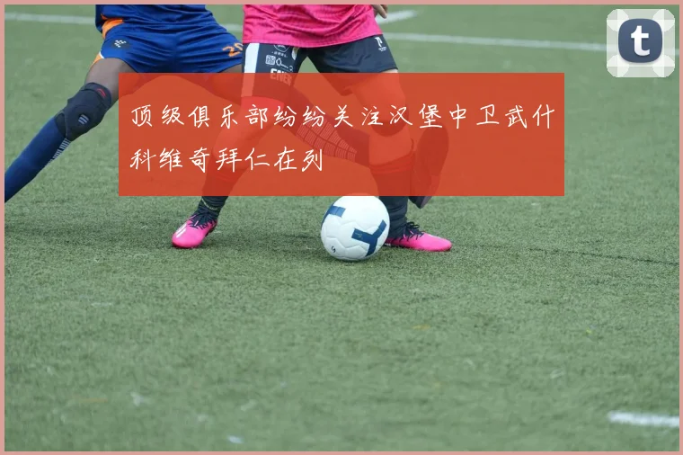 顶级俱乐部纷纷关注汉堡中卫武什科维奇拜仁在列